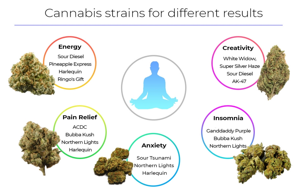 Cannabis Strains